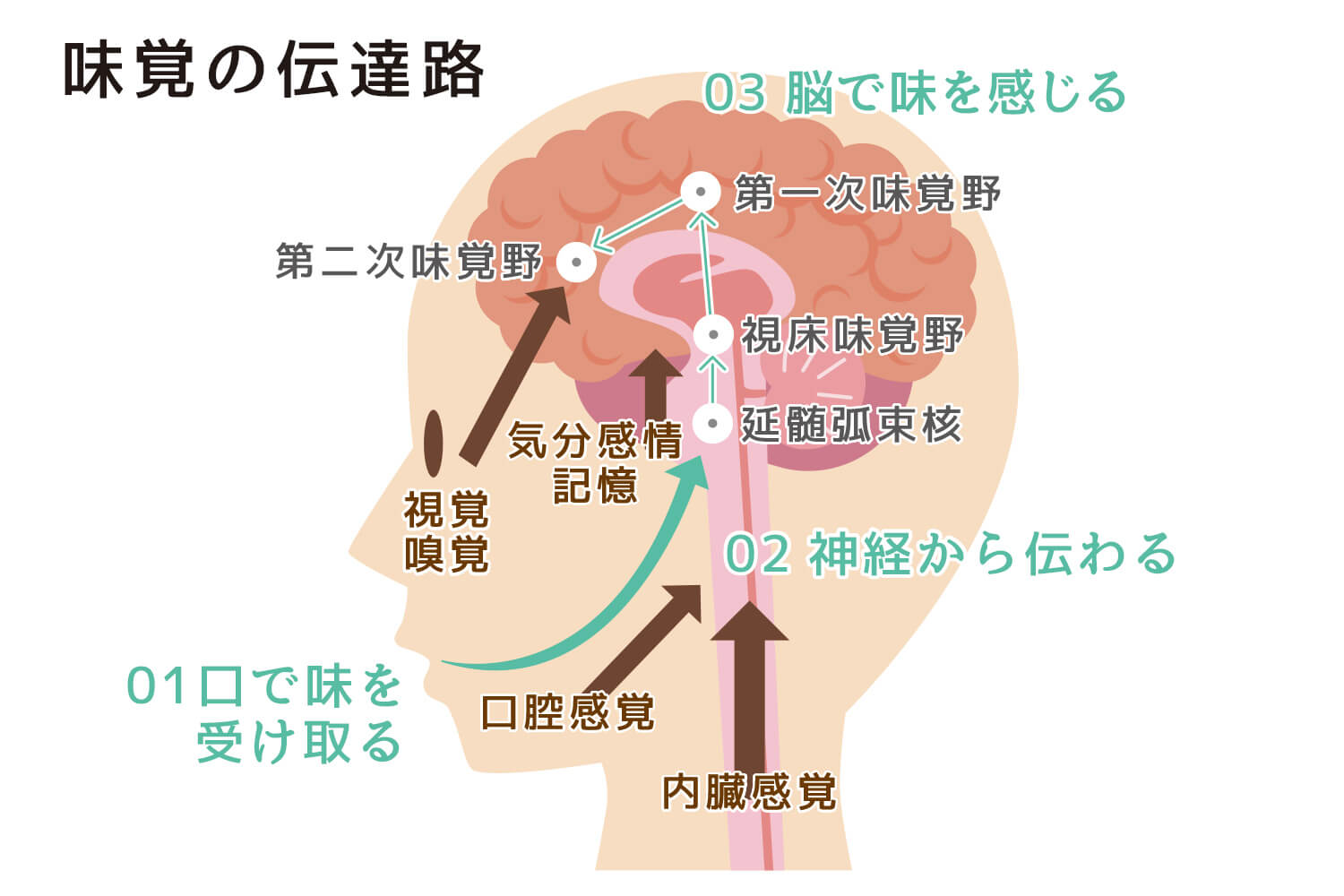 味覚外来 診療科目 青葉西デンタルクリニック